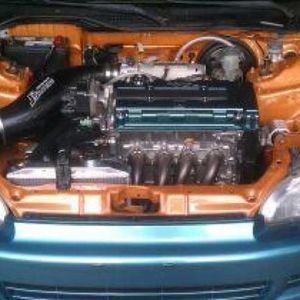 Meet your Posher, Ronny